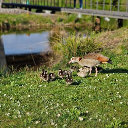 Hotel Am Kurpark バートヴィンプフェン エクステリア 写真